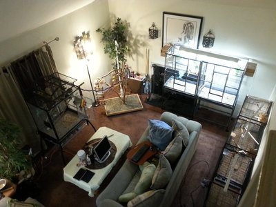 loft2 (2).jpg