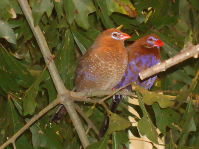 DSC06853.JPG