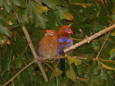 DSC06849.JPG