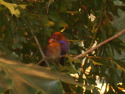 DSC06846.JPG