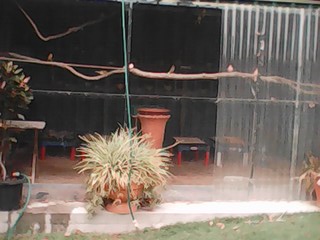 IMG00065.jpg