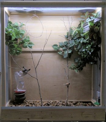 My flight cage with fake greenery