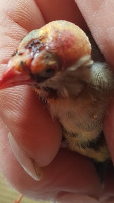20190510_155222[1].jpg