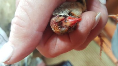 20190510_124107[1].jpg