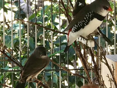 With Dad in the foreground