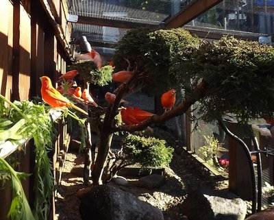 Interior Garden Aviary 2.JPG