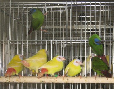IMG_2232.JPG