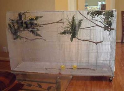 bourke cage pic 2.jpg