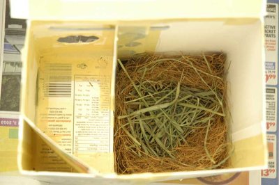 This is the overhead view of my gouldian nest made with milk cartons.