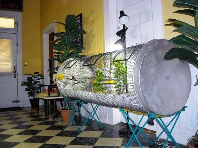 DSCN0005.JPG