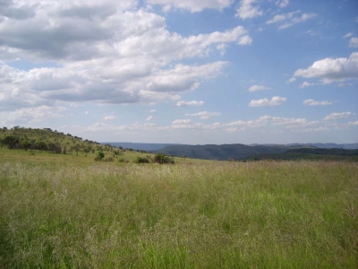 S6001701.jpg