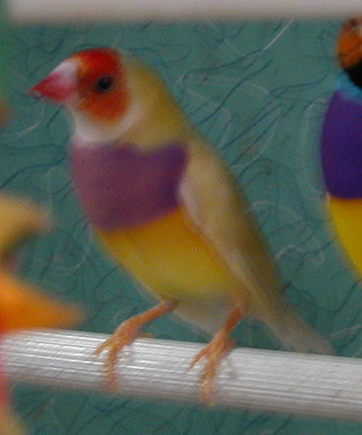 P1010001.JPG