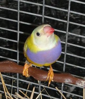 DSCN0006.JPG