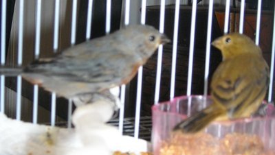 DSCN0016.JPG
