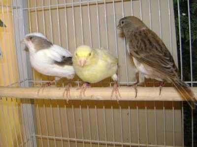 group_shot.JPG