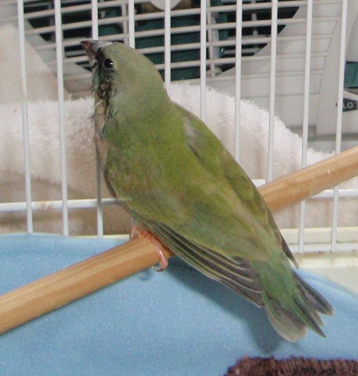 P7110002.JPG