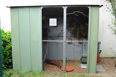 Aussie Outdoor aviary Jan2011.JPG
