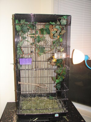 There cage.