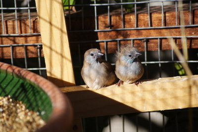 DSC08117.JPG