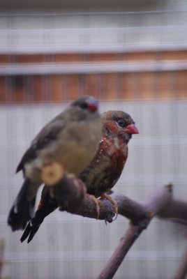 DSC07874.JPG