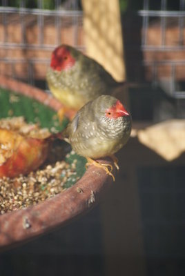 DSC08145.JPG