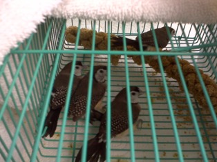 IMG00374.jpg