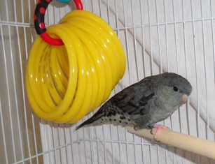 linnie 1-18-2011.jpg