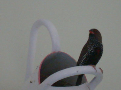 DSC07687.JPG