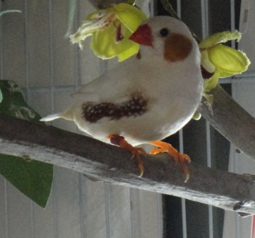 DSC00126.JPG