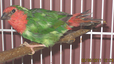 NewRTPFeb611.jpg