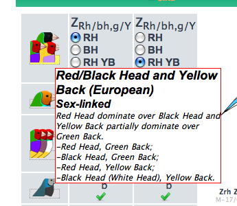 mutation description