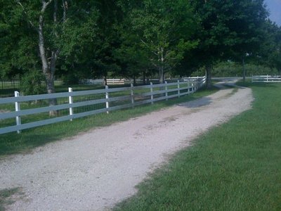 my driveway! the emus are going in front pasture LOL