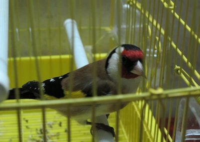 21_276605_581f49b681d2b7a.jpg