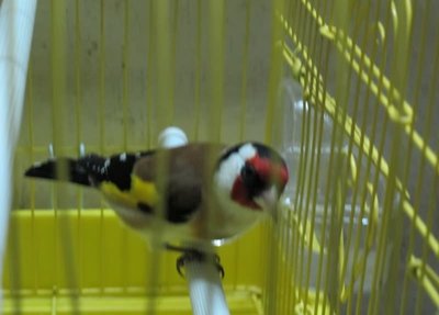 21_276605_f07f22ffbcc8adf.jpg