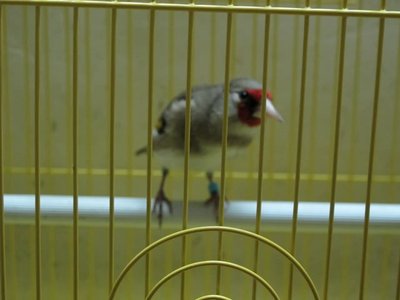 IMG_0493.JPG