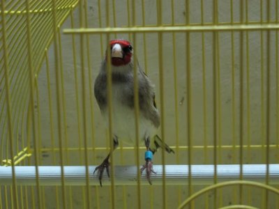 IMG_0495.JPG