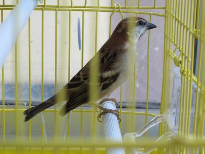IMG_0613.JPG