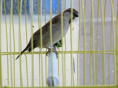IMG_0687.JPG