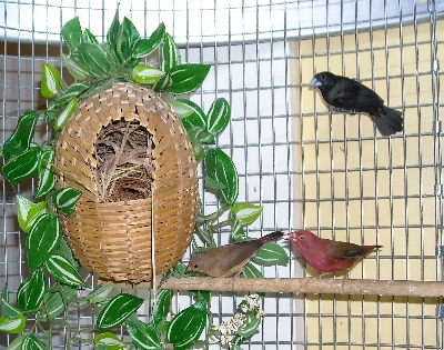 DSCN0006.JPG