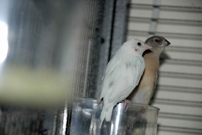 DSC_0009_edited-4.jpg