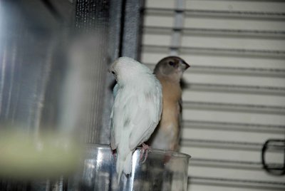 DSC_0008_edited-5.jpg