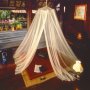 mosquito netting.jpg