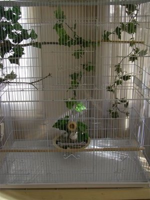 20110301_5.jpg