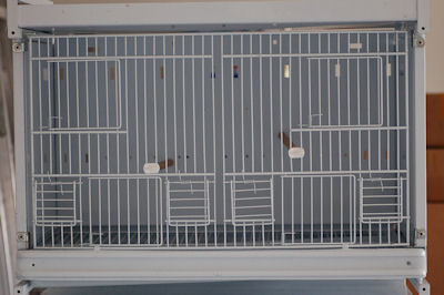 cage.jpg