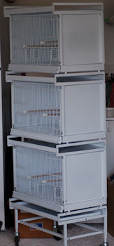 cage2.jpg