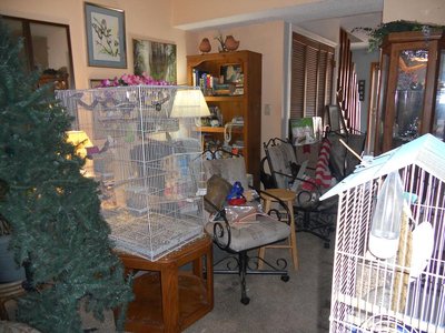 Aviary and floor 004.jpg