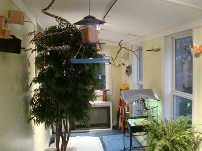 DSC08007.JPG