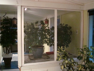 DSC08005.JPG