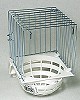 outside nest.JPG