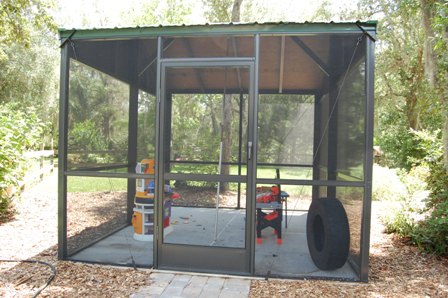 aviary 001.jpg